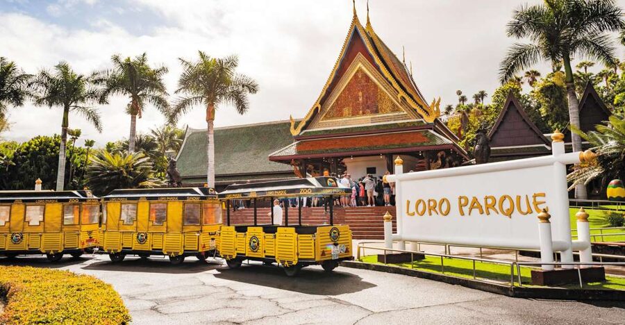 From South Tenerife: Loro Park Zoo Ticket & Hotel Transfers - Leaving the south of Tenerife by shared coach
