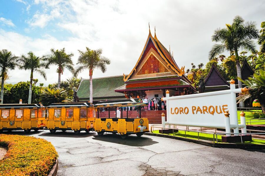 From South Tenerife: Loro Park Zoo Ticket & Hotel Transfers - Planet Penguin and the cool heart of the park