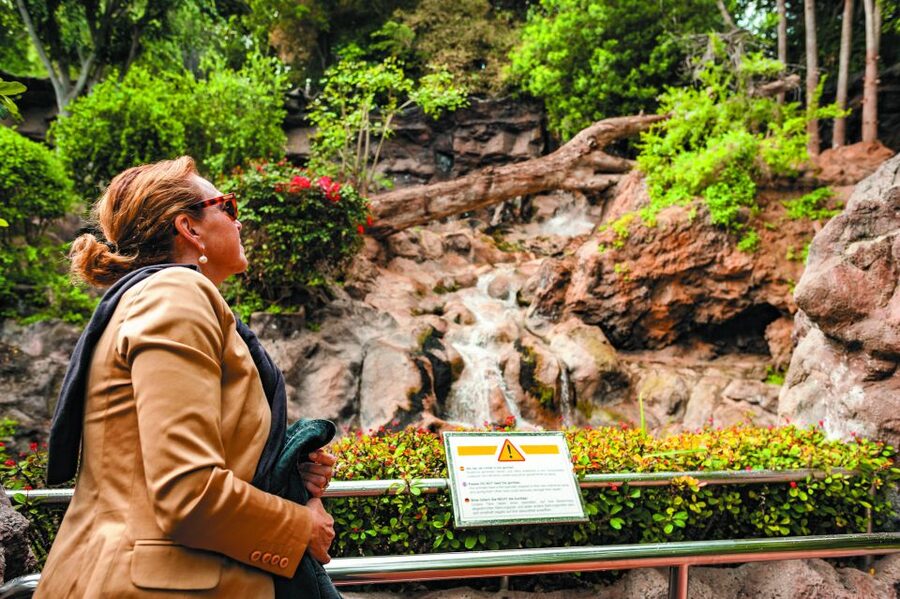 From South Tenerife: Loro Park Zoo Ticket & Hotel Transfers - More animals, gardens, and time to wander