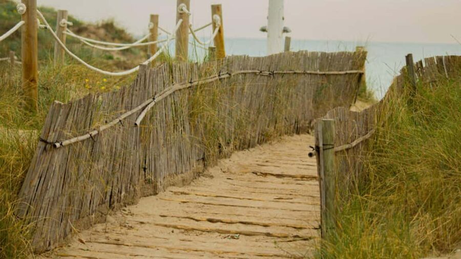 From Valencia: Albufera Day Trip with Boat Tour and Transfer - El Saler dunes and the Mediterranean coast