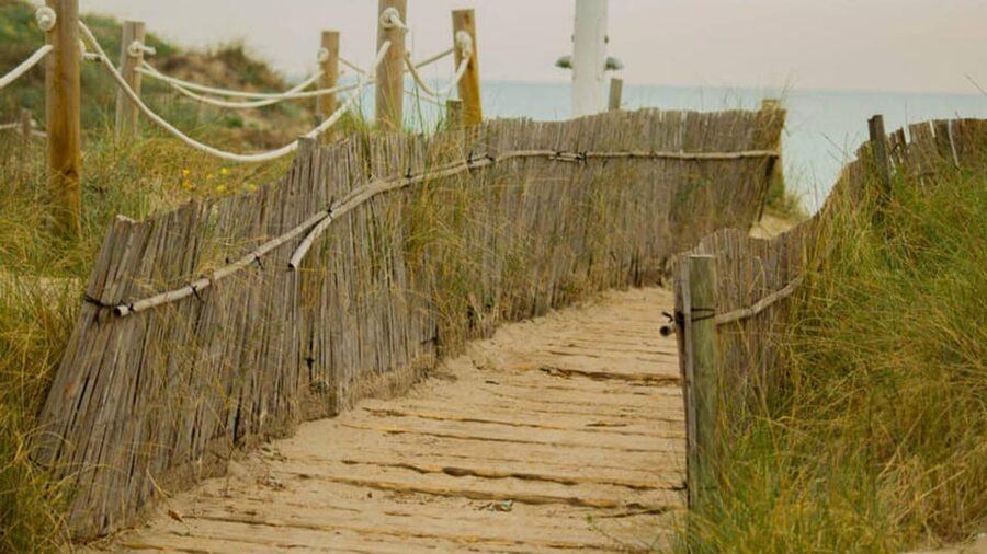 From Valencia: Albufera Day Trip with Boat Tour and Transfer - What the $55 price covers