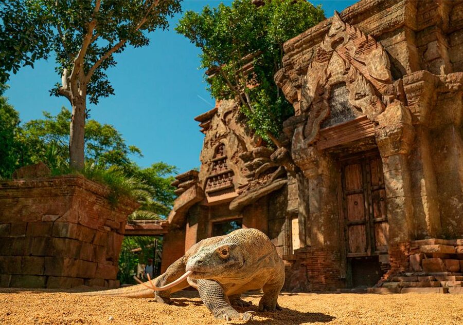 Fuengirola: Bioparc Entrance Ticket - Southeast Asia: orangutans, Komodo dragons, and tropical detail