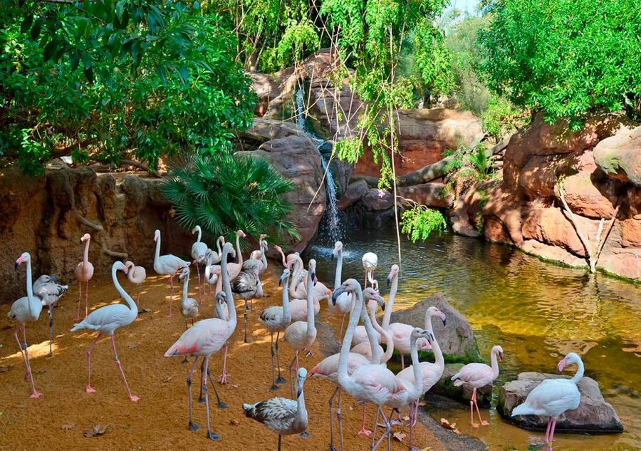 Fuengirola: Bioparc Entrance Ticket - Conservation that gives the visit a purpose
