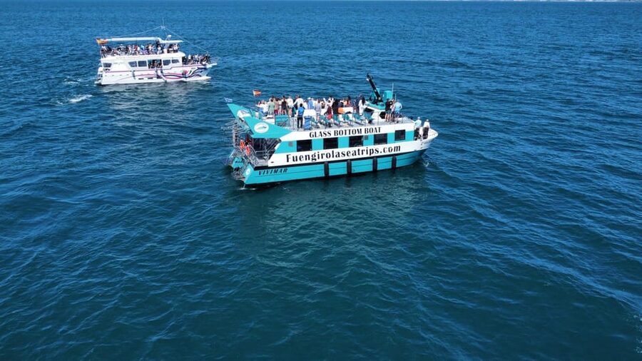 Fuengirola: Catamaran Tour to Spot Dolphins - Key points at a glance