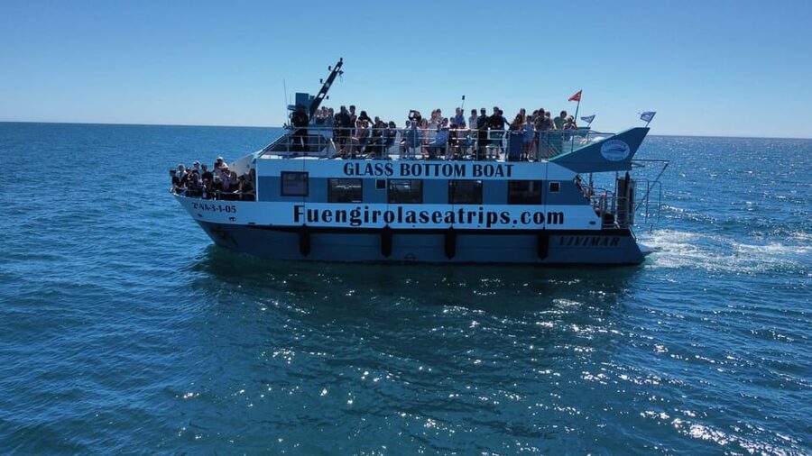 Fuengirola: Catamaran Tour to Spot Dolphins - Finding the dolphins in open water
