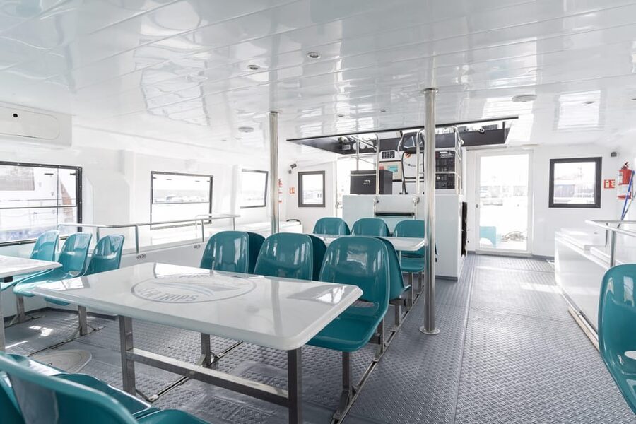 Fuengirola: Catamaran Tour to Spot Dolphins - The catamaran setup, bar, and viewing areas