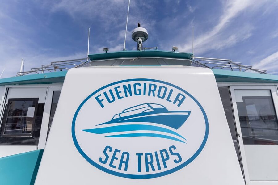 Fuengirola: Catamaran Tour to Spot Dolphins - What is missing from the experience