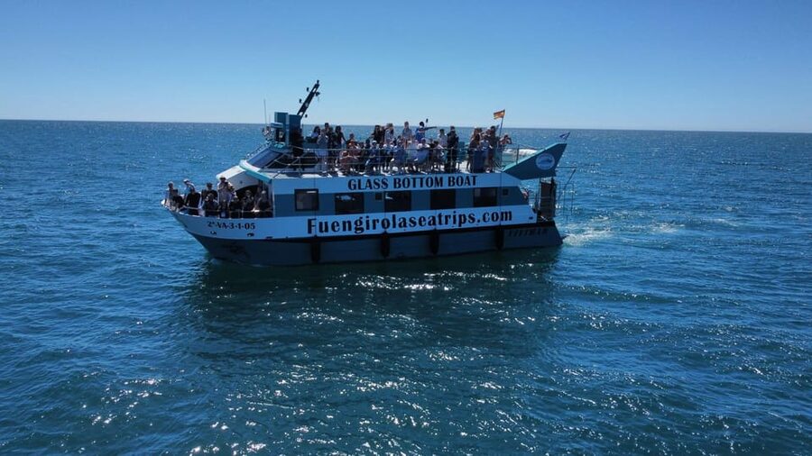 Fuengirola: Catamaran Tour to Spot Dolphins - Price and overall value at $21