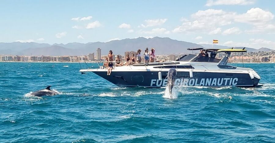 Fuengirola: Dolphin Watching by Yacht with Snacks and Drinks - Snacks, cava, and a relaxed onboard mood