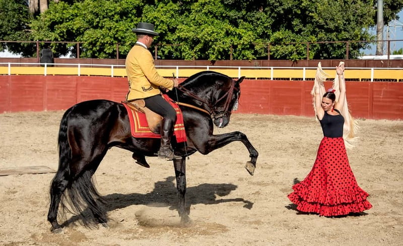 Fuengirola: Spanish Horse Show with Optional Dinner/Flamenco - What the Fuengirola horse and flamenco evening is really like