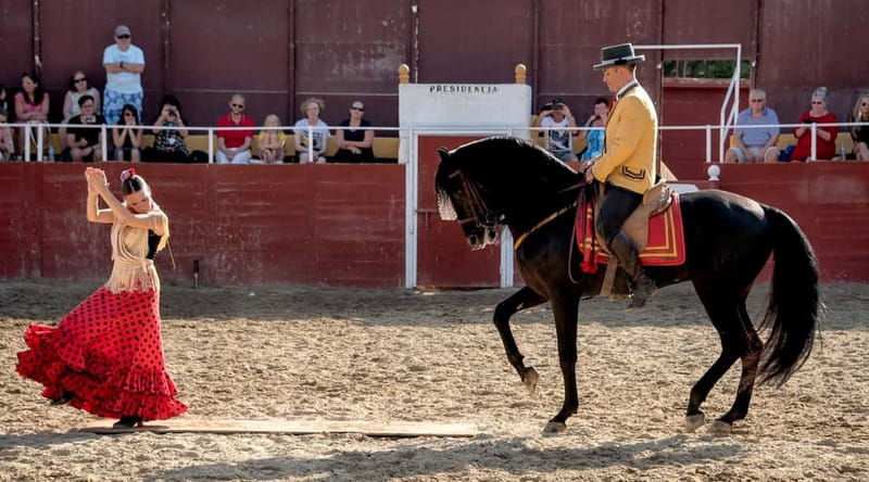 Fuengirola: Spanish Horse Show with Optional Dinner/Flamenco - Meeting the horses after the performance