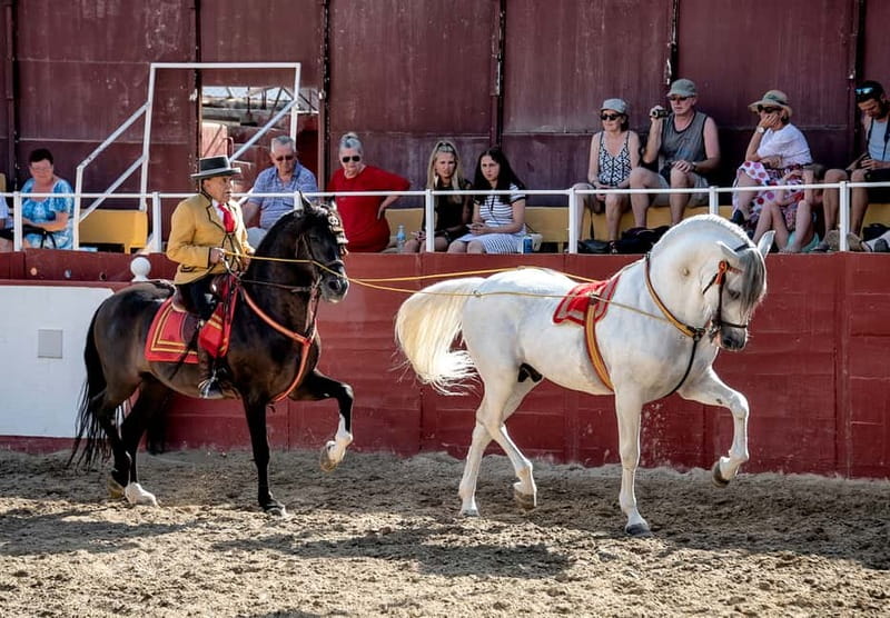 Fuengirola: Spanish Horse Show with Optional Dinner/Flamenco - Why families may find the long evening manageable