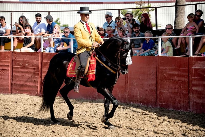 Fuengirola: Spanish Horse Show with Optional Dinner/Flamenco - Choosing the right package