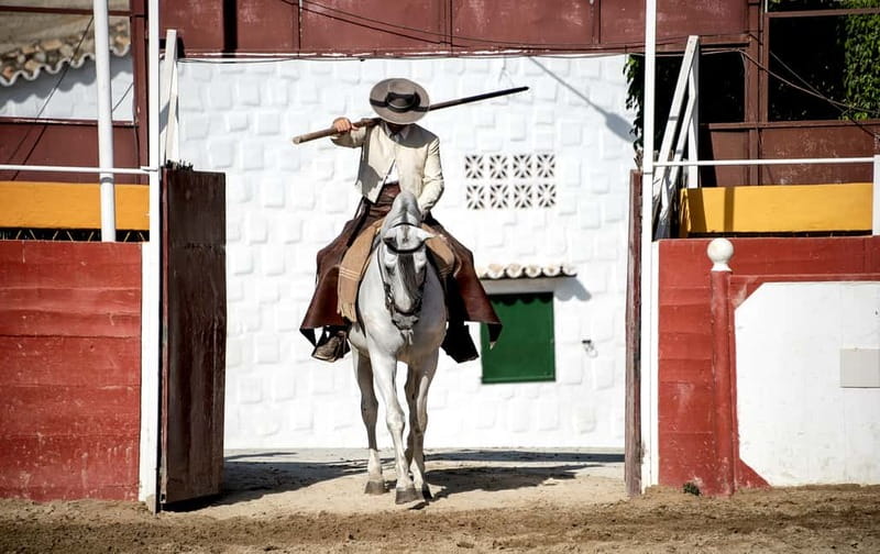 Fuengirola: Spanish Horse Show with Optional Dinner/Flamenco - The 18:00 Cartujano horse show
