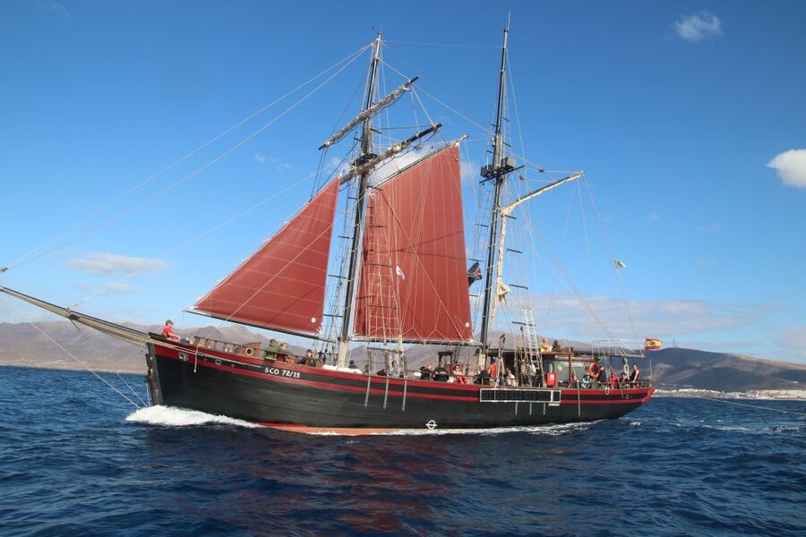 Fuerteventura: 4-Hour Pirate Sailing Adventure - Practical tips for a smoother four hours