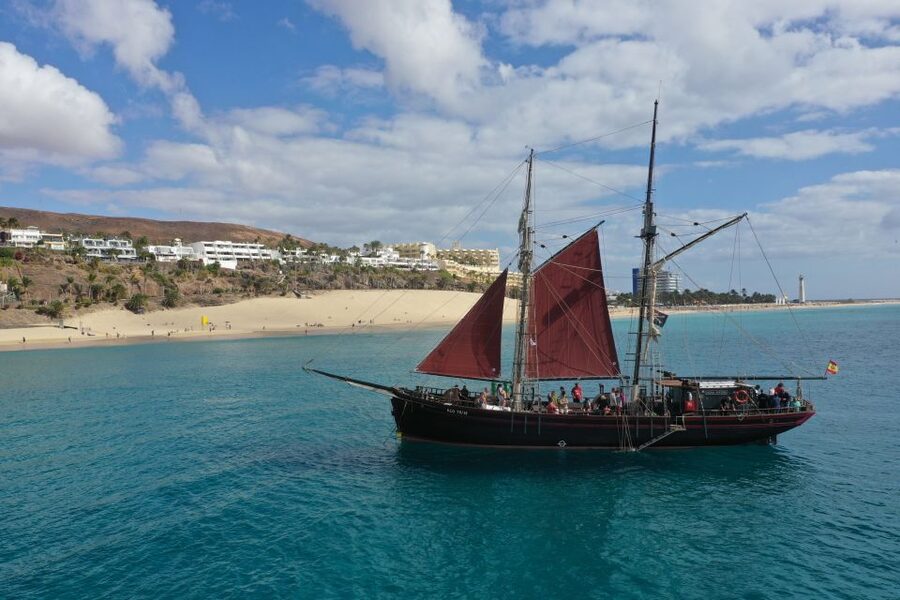 Fuerteventura: 4-Hour Pirate Sailing Adventure - Dolphins, whales, turtles, and responsible watching
