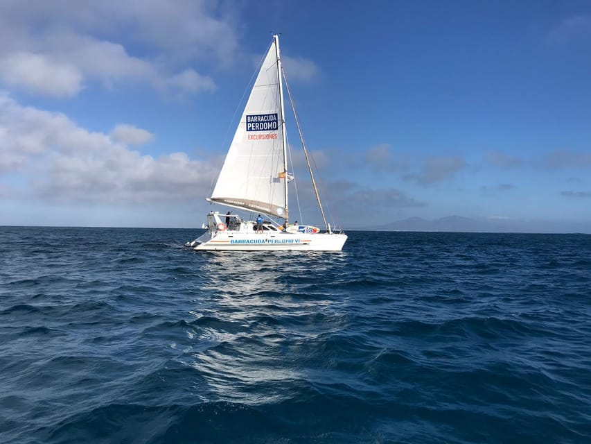 Fuerteventura : Catamaran excursion to Lobos Island - Why the small group changes the experience