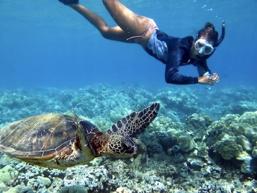 Fuerteventura : Catamaran excursion to Lobos Island - Who will enjoy this Lobos Island cruise?