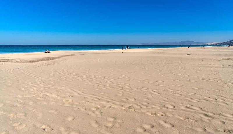 Fuerteventura: Cofete Beach Jeep Safari - Value at $74 per person