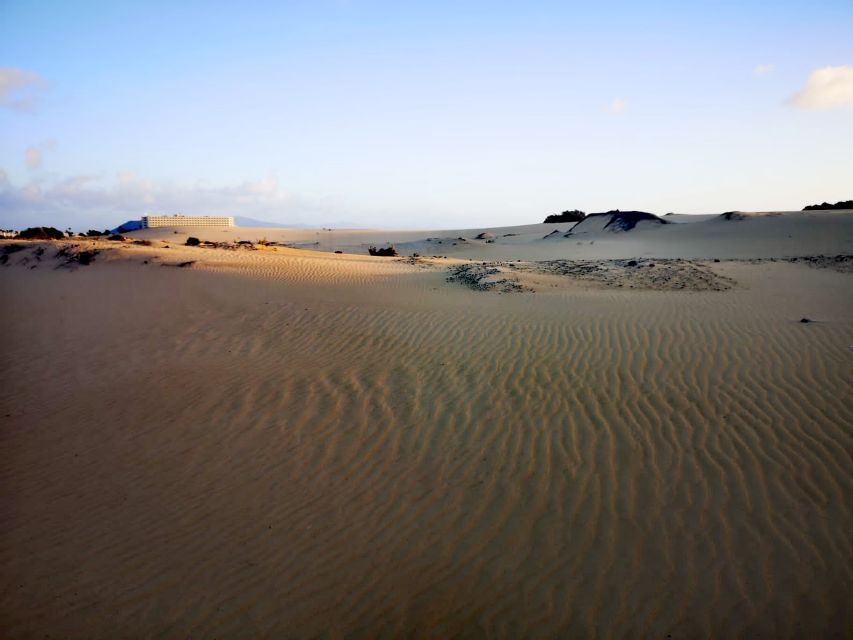 Fuerteventura: Corralejo Sand Dunes Guided Shore Excursion - What The $23 Price Really Covers
