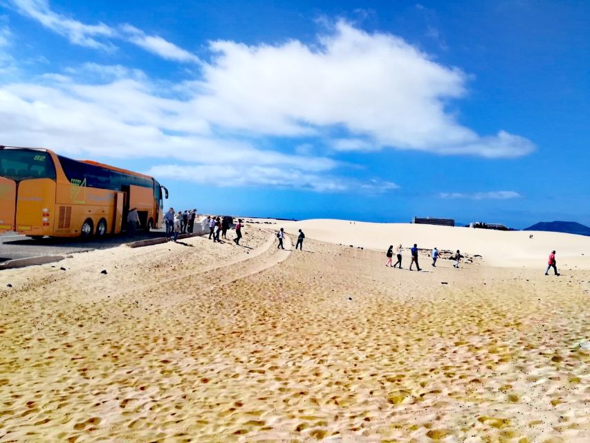 Fuerteventura: Corralejo Sand Dunes Guided Shore Excursion - Who Will Get The Most From This Excursion?