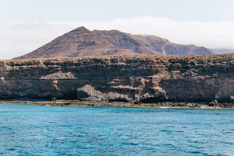 Fuerteventura: Glass Bottom Boat Cruise with Lunch & Drinks - How $88 compares with the experience
