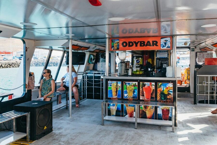 Fuerteventura: Glass Bottom Boat Cruise with Lunch & Drinks - Family comfort and wheelchair access