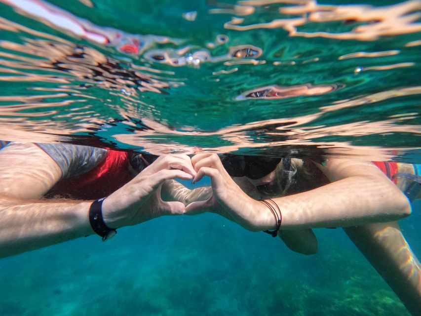 Fuerteventura: Guided Snorkeling in La Lajita with Pickup - From your hotel to La Lajita Beach