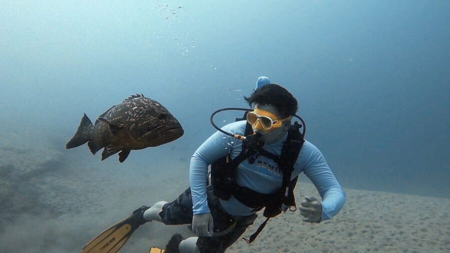 Fuerteventura: Introduction to Scuba Diving - Key points at a glance