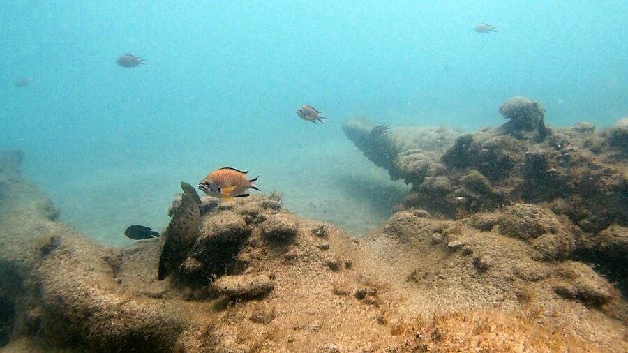 Fuerteventura: Introduction to Scuba Diving - How the instructors handle nervous beginners