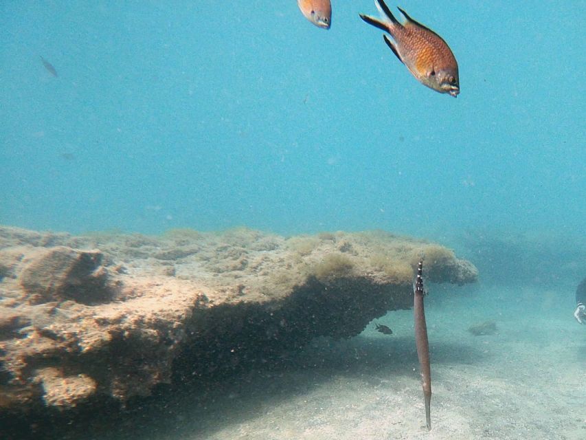 Fuerteventura: Introduction to Scuba Diving - What the $100 price really covers