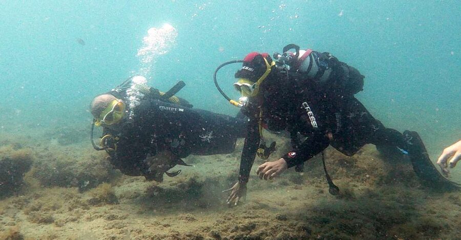 Fuerteventura: Introduction to Scuba Diving - Meeting at Costa Calma and arranging pickup
