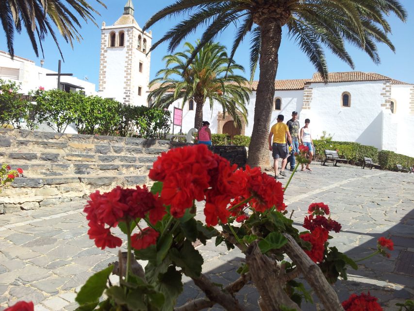 Fuerteventura: Island Tour by Minibus - Tindaya and the Valley of the Conception