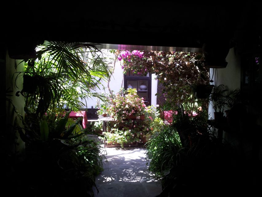 Fuerteventura: Island Tour by Minibus - Aloe vera and goat cheese in everyday Fuerteventura