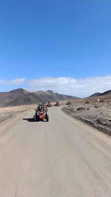 Fuerteventura: Jandía Natural Park & The Puertito Buggy Tour - Key points to know before you book