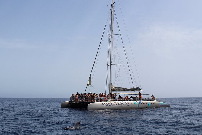 Fuerteventura: Magic Select Catamaran Trip with Food & Drinks - Is $93.12 good value for four hours?