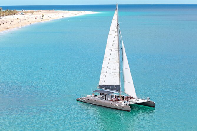 Fuerteventura: Magic Select Catamaran Trip with Food & Drinks - The swim stop near white-sand coves