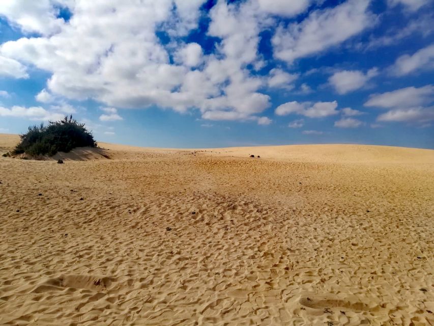 Fuerteventura: North of Fuerteventura for Cruise Passengers - El Cotillo, where cliffs meet Atlantic surf