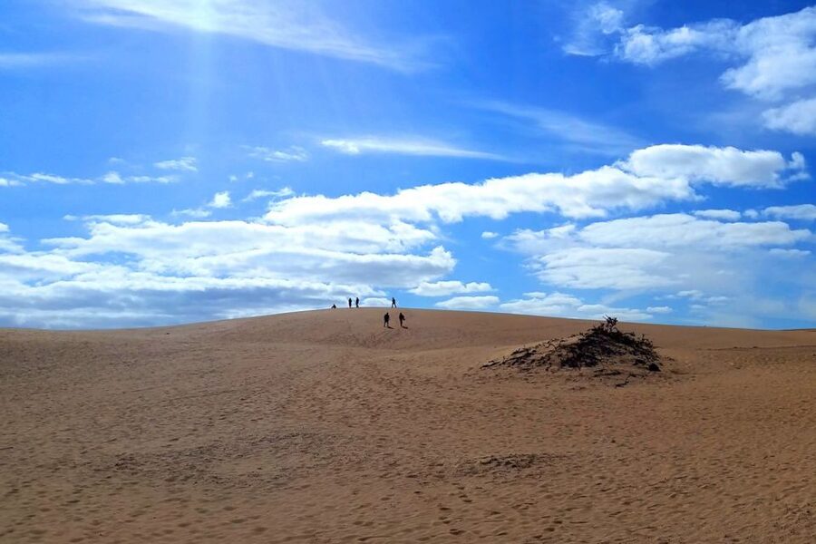 Fuerteventura: Panoramic Tour - The eastern coast and Fuerteventura’s volcanic past