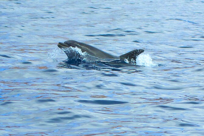 Fuerteventura Sailing Trip from Morro Jable - Anchoring near Playa de Sotavento de Jandia