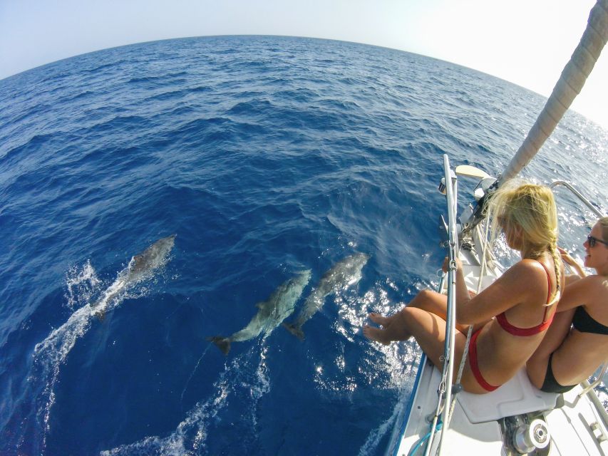 Fuerteventura: Sailing with Snorkeling and Dolphin Watching - Should you book the Fuerteventura sailing trip?