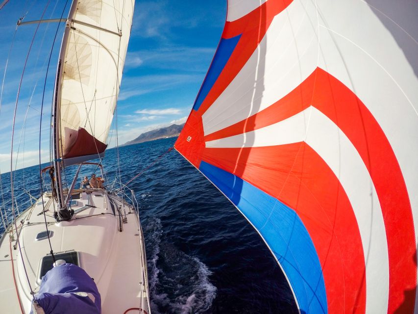 Fuerteventura: Sailing with Snorkeling and Dolphin Watching - Dolphin watching along Fuerteventura’s southern coast