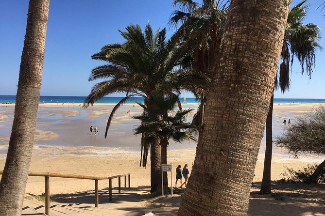 Fuerteventura South Exclusive Tour - How much driving should you expect?