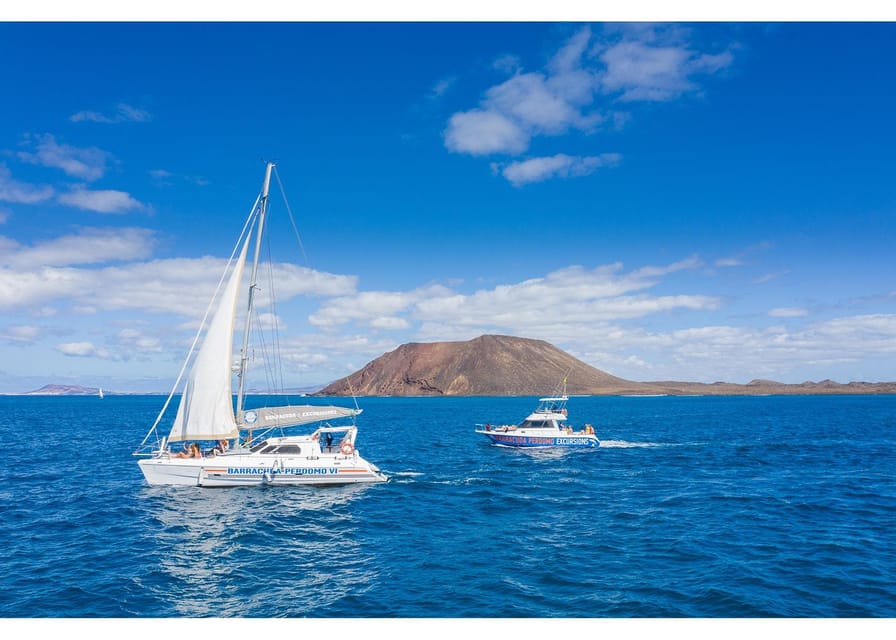 Fuerteventura: Whale & Dolphin Watching Boat Tour with Guide - Key points to know before you book