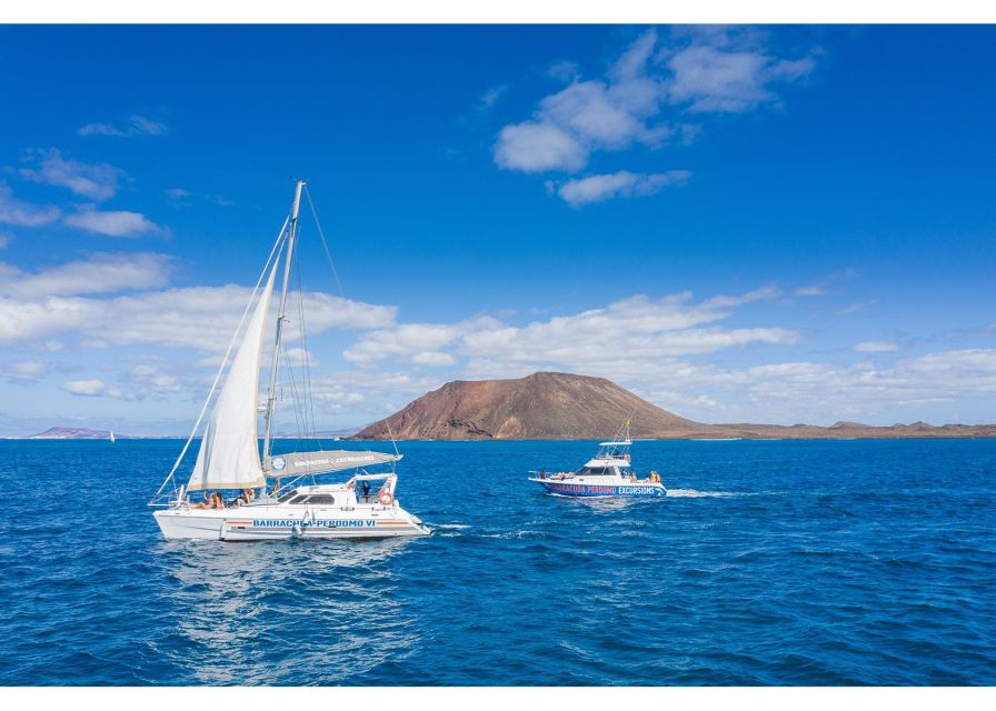 Fuerteventura: Whale & Dolphin Watching Boat Tour with Guide - The sea can be playful, rough, or both