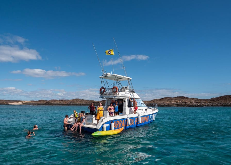 Fuerteventura: Whale & Dolphin Watching Boat Tour with Guide - The wildlife search requires patience