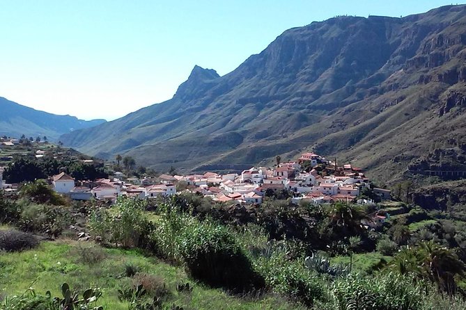 Full Day Across the Island Tour from Las Palmas - Pico de las Nieves is the high point, literally