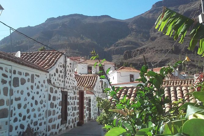 Full Day Across the Island Tour from Las Palmas - Fataga is the best place for lunch and a slower hour
