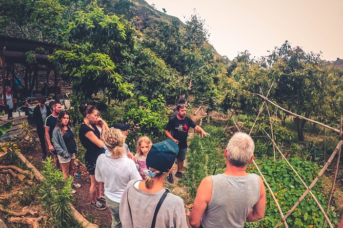 Full Day Rainforest Tour with Tasting and Swimming Time ツ - Firgas, the City of Water