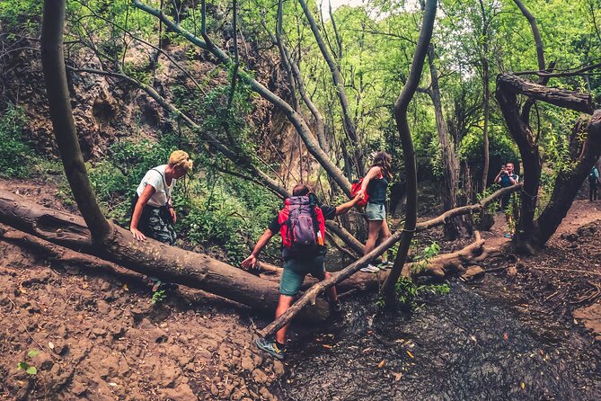 Full Day Rainforest Tour with Tasting and Swimming Time ツ - What to pack, and what to leave behind